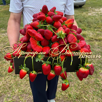 Клубника японской селекции «МАРИОКА» (НАШ ШОК И ВОСТОРГ В 2024 ГОДУ!!!) Клубника японской селекции «МАРИОКА» (НАШ ШОК И ВОСТОРГ В 2024 ГОДУ!!!)